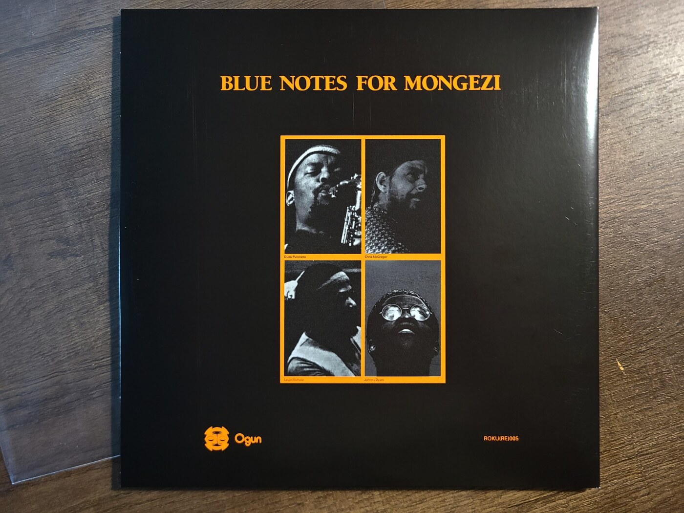 02-blue-notes-for-mongezi-back-cover