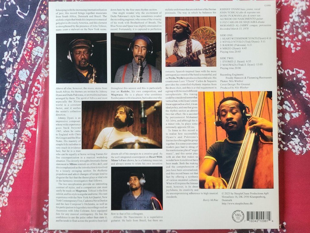 johnny-dyani-witchdoctors-son-back-cover