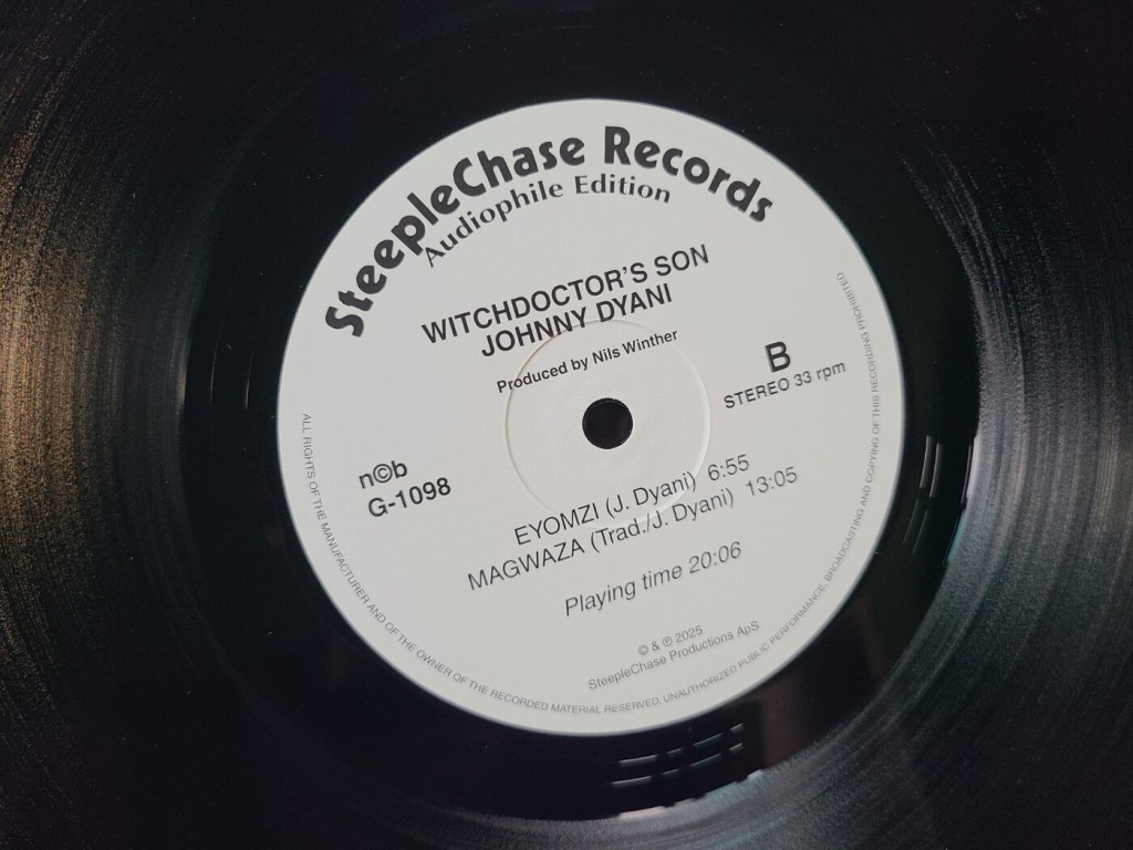 witchdoctors-son-vinyl-side-b